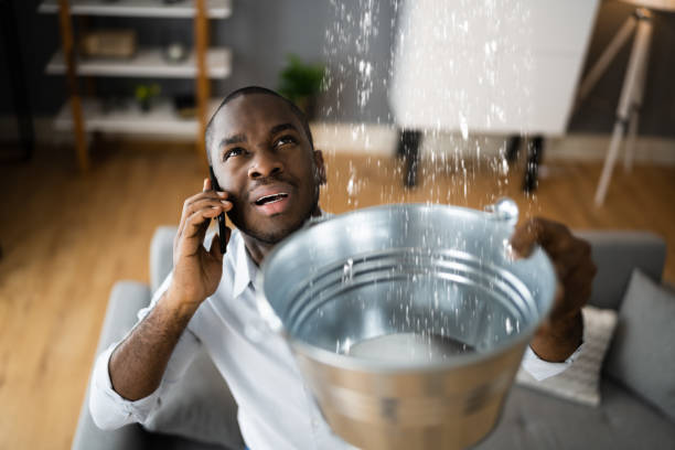 Carpet water damage restoration in Hidden Valley, IN