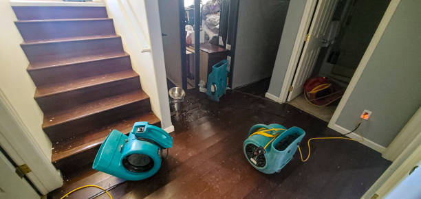 Best Residential water damage restoration  in Hidden Valley, IN