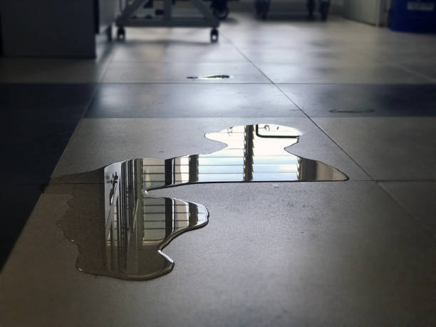 Best Water damage restoration process  in Hidden Valley, IN